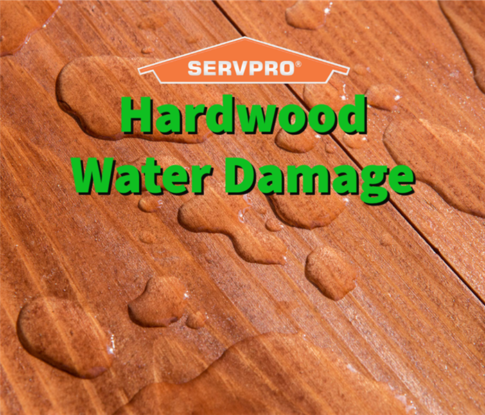 Hardwood water damage in a Jefferson home.