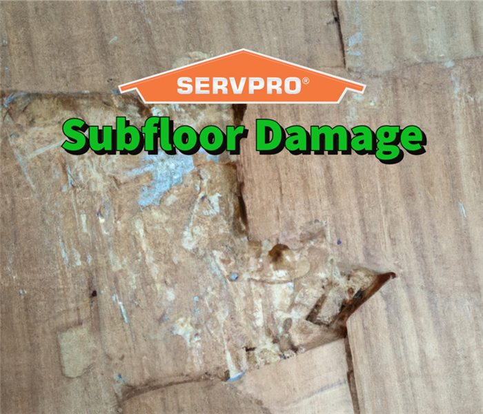 Subfloor damage in a Jackson County property.